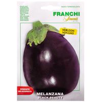 Franchi Sementi Black Beauty Egg Plant 